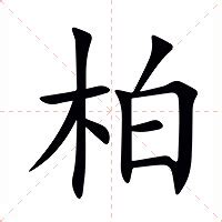 柏名字意思|< 柏 : (讀音) ㄅㄛˊ >辭典檢視